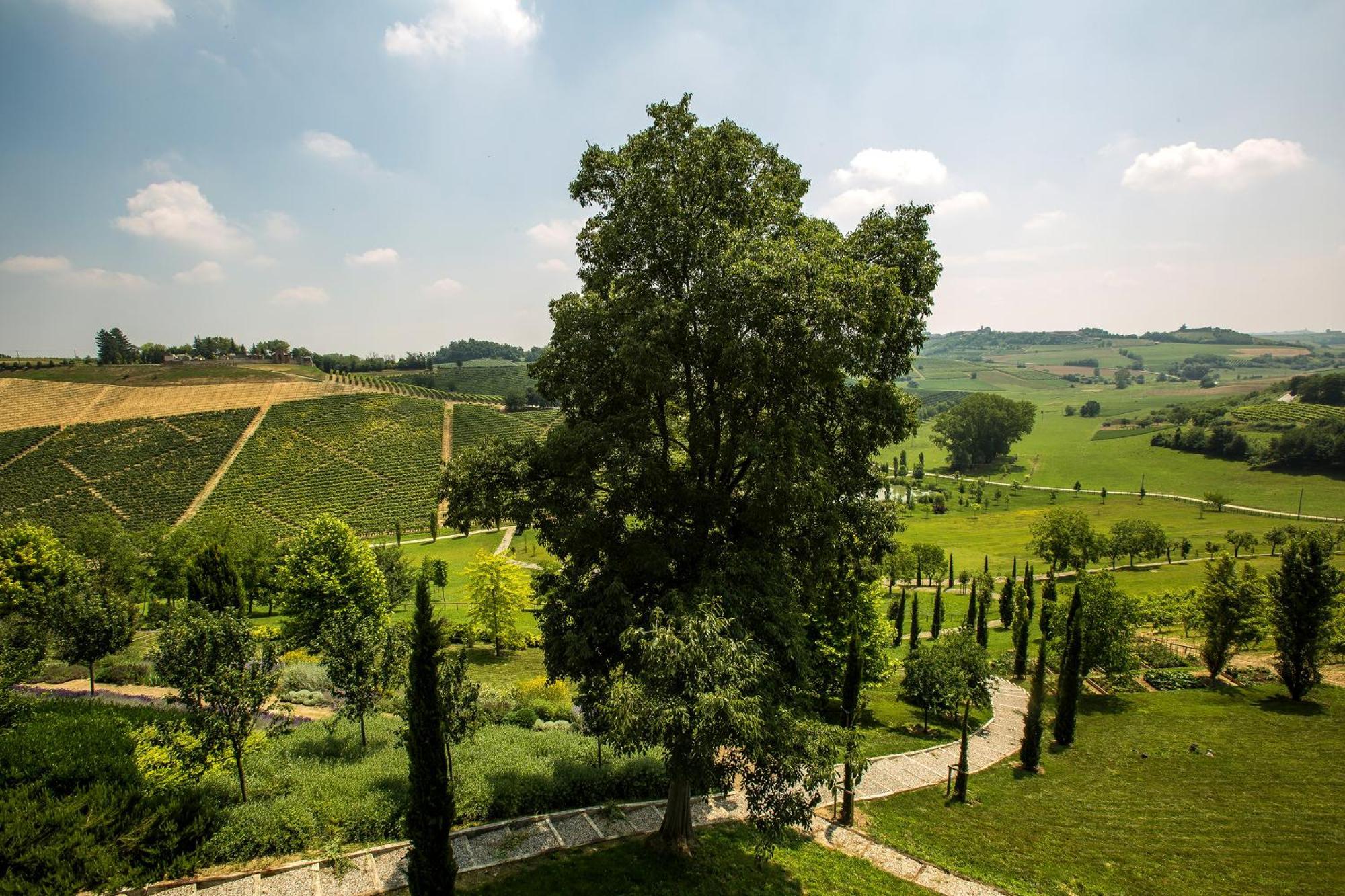 Relais Di Tenuta Santa Caterina B&B Grazzano Badoglio Room photo